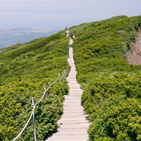 伯耆大山の尾根を横断する木道と広がる山々の写真