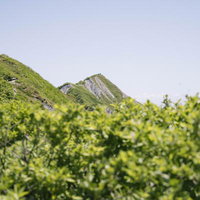 弥山山頂から見る伯耆大山の剣ヶ峰と稜線の絶景の写真