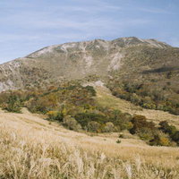 孤高の木と避難小屋が建つ伊吹山の登山道、日本百名山の景観の写真