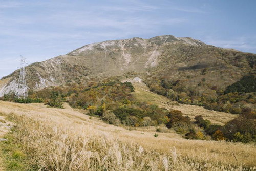 孤高の木と避難小屋が建つ伊吹山の登山道、日本百名山の景観