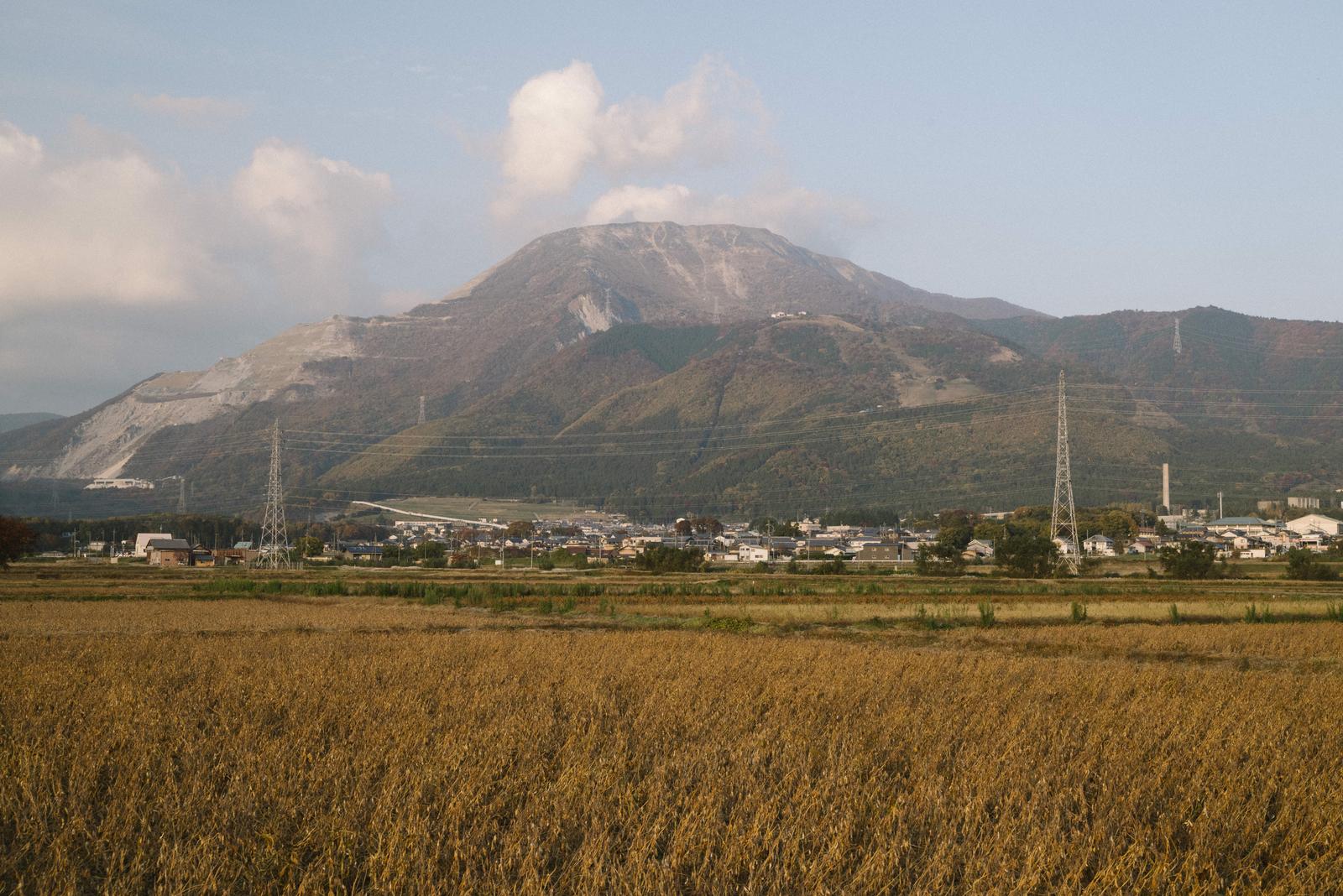 稲穂が実る田園地帯の先に見える伊吹山と山麓の集落