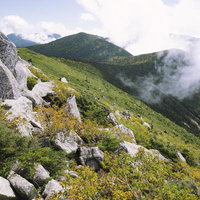 秋の金峰山、岩と緑の稜線が続く日本百名山の山並みの写真