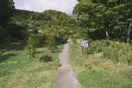 ツバメ温泉へ続く妙高山の登山口、雑木林の登山道を行く