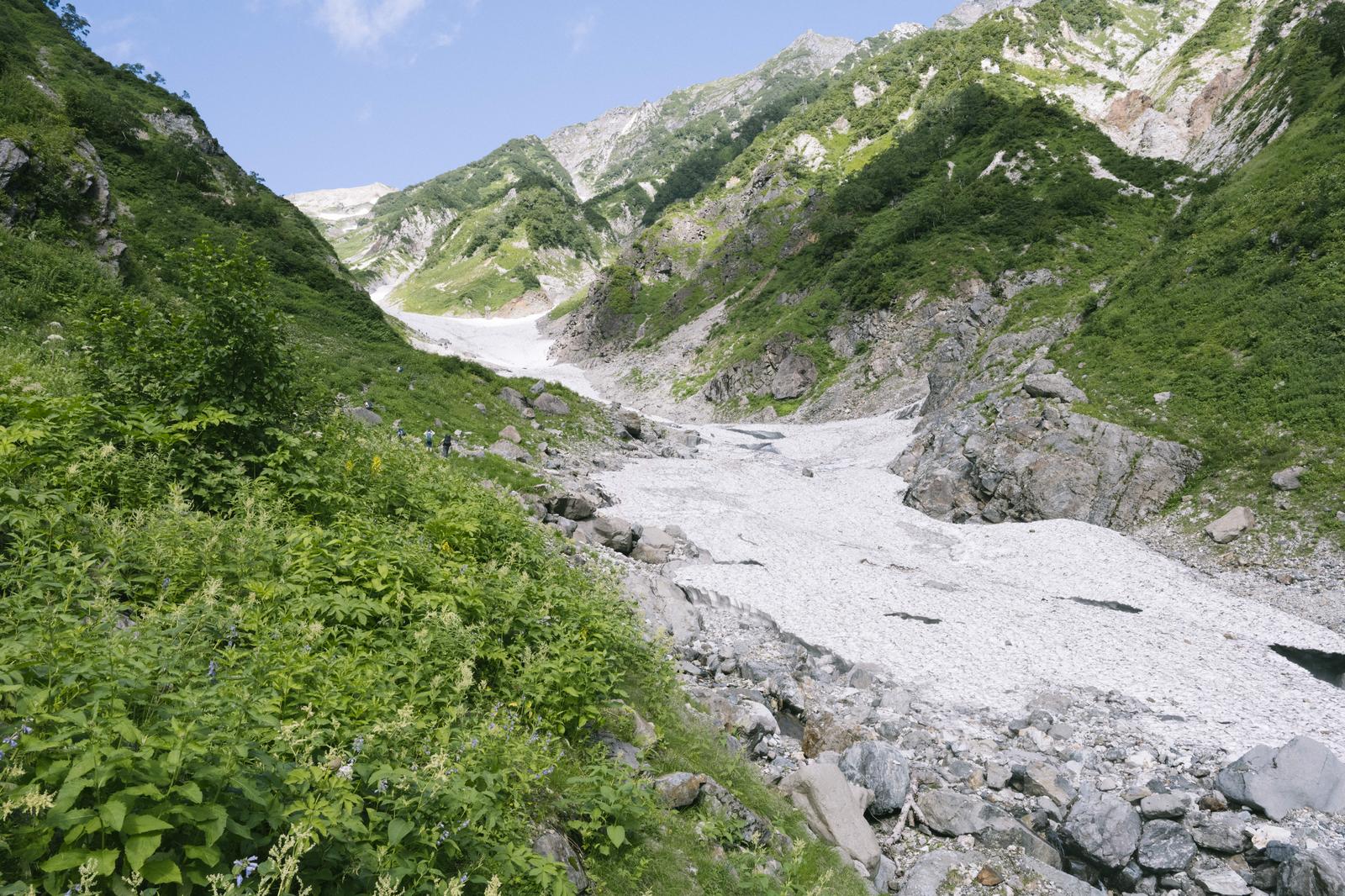 白馬岳の大雪渓入口で、緑の斜面に囲まれた渓谷に白い雪渓が見える