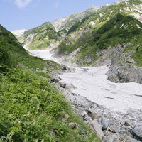 真夏の白馬岳大雪渓入口の渓谷 日本百名山の雪解け水の写真