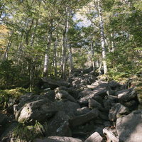 蓼科山荘から山頂への登り道、岩場と白樺林の写真