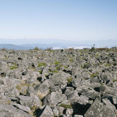 日本百名山・蓼科山の山頂に広がる岩場と高山植物の写真
