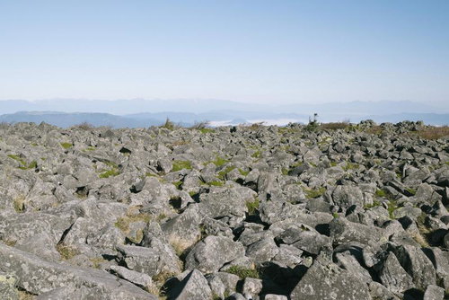 日本百名山・蓼科山の山頂に広がる岩場と高山植物