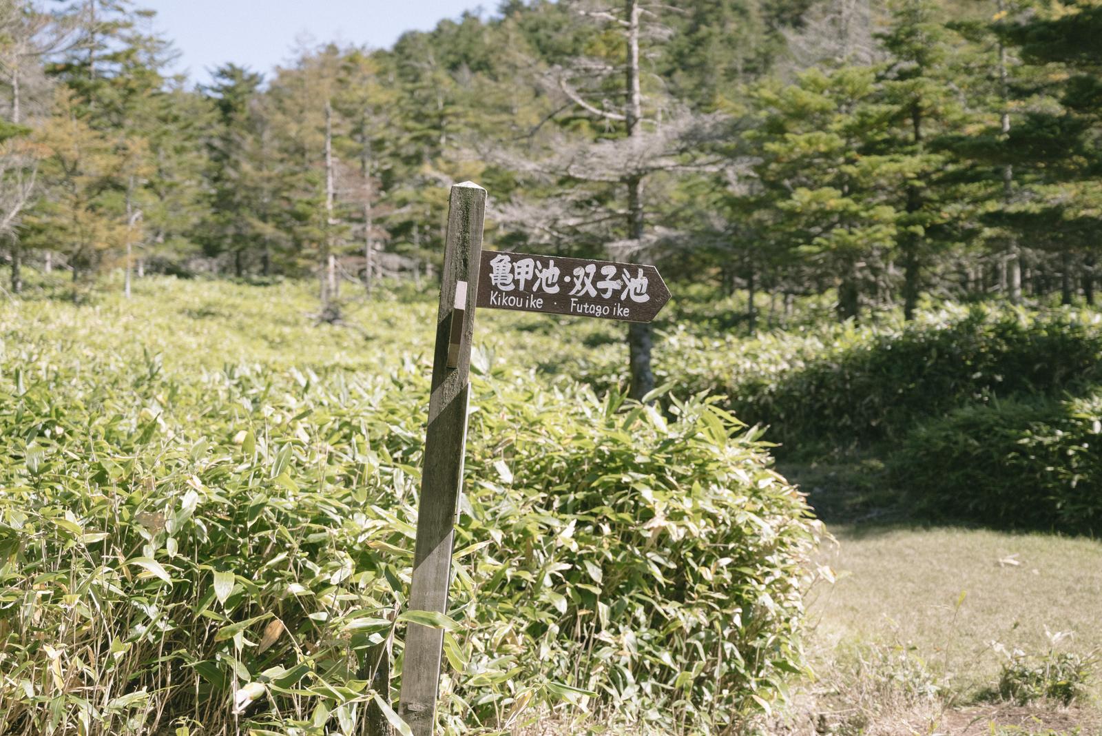 亀甲池・双子池への木製道標（蓼科山）