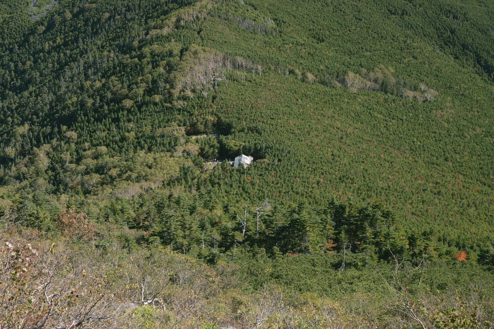 蓼科山の山頂から空撮で見た針葉樹林に囲まれた白い蓼科山荘