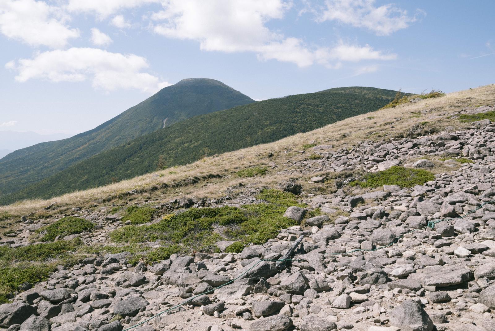蓼科山の岩場と針葉樹林に囲まれた高山風景。青空に白い雲が浮かぶ