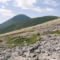 蓼科山の高山帯に広がる岩場と森林の風景、日本百名山の雄大な山容の写真