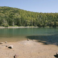 日本百名山・蓼科山の双子池雄池、針葉樹に囲まれた清らかな岸辺の写真