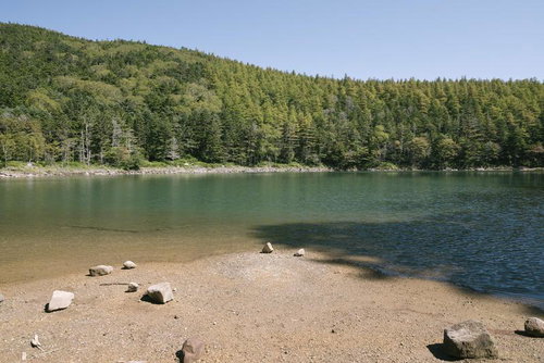 日本百名山・蓼科山の双子池雄池、針葉樹に囲まれた清らかな岸辺