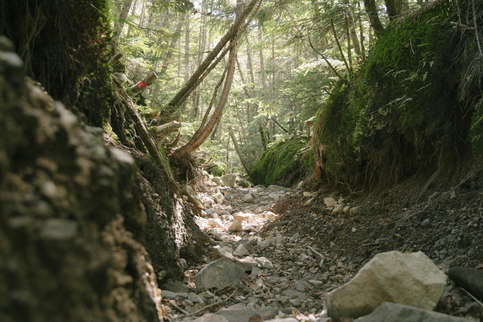 苔むした岩壁と石段が続く蓼科山の登山道を進む様子