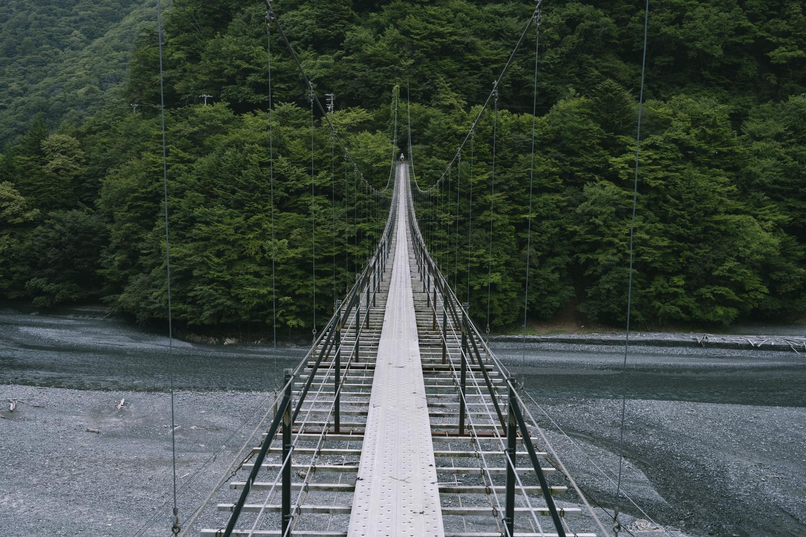 日本百名山の光岳にある吊り橋が森の中に架かる風景