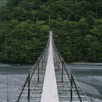 日本百名山・光岳の吊り橋を渡る先に広がる静寂の森の写真