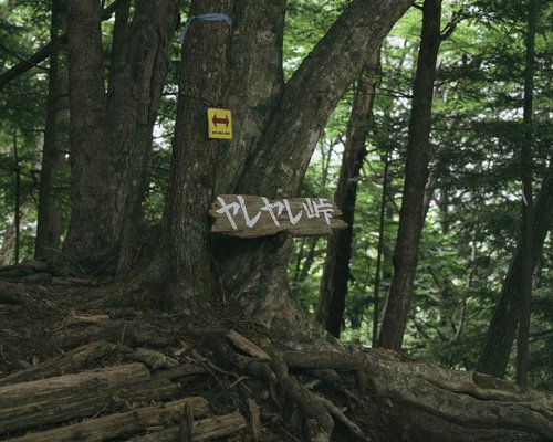 深緑に囲まれた光岳への道しるべ、ヤレヤレ峠の指導標