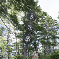光岳山頂の日本百名山を示す木柱の道標と山林風景の写真