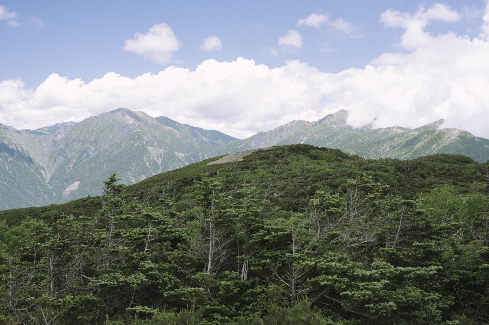 光岳から眺めた聖岳方面の山々と緑の高原、青空に白い雲