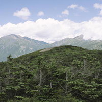 光岳から望む聖岳方面の稜線と高原の山々、南アルプスの絶景の写真