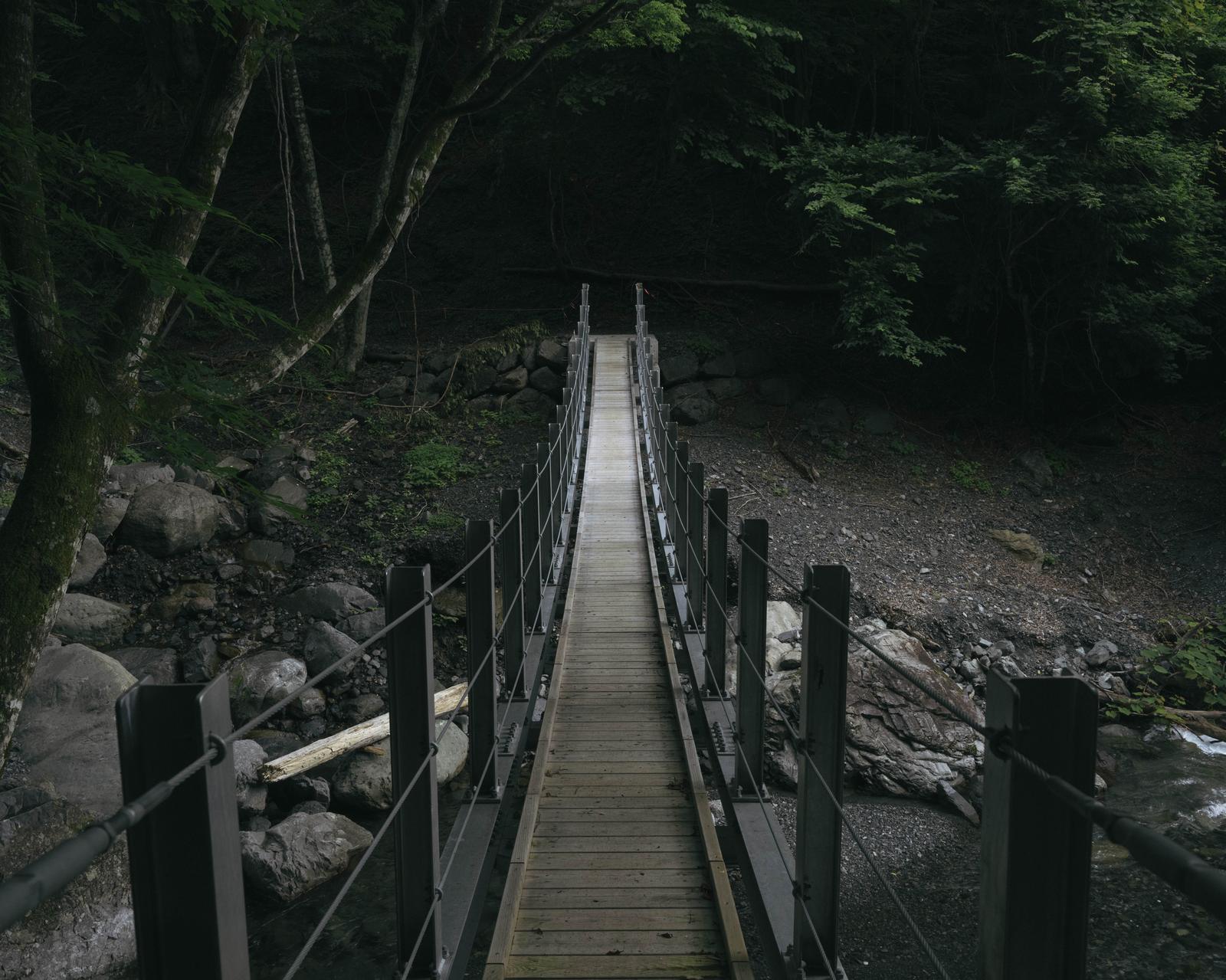 光岳の登山道で樹林帯を横切る木製のつり橋