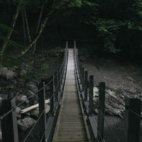 日本百名山・光岳登山道の木製つり橋と樹林帯の写真