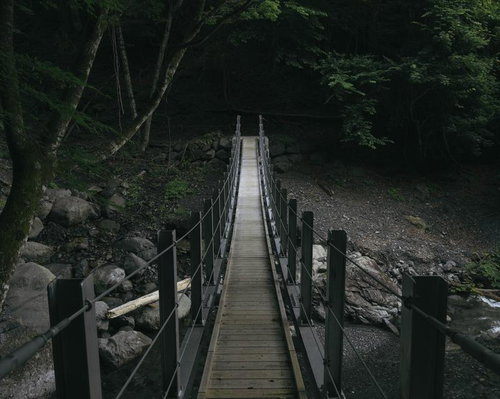 日本百名山・光岳登山道の木製つり橋と樹林帯