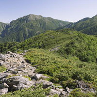 仁田岳から見る聖岳、上河内岳、兎岳の山並みの写真