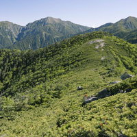 仁田岳から眺める南アルプス南部の日本百名山・光岳と山脈の写真