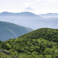 南アルプス光岳から望む重なり合う稜線と遠景の富士の写真