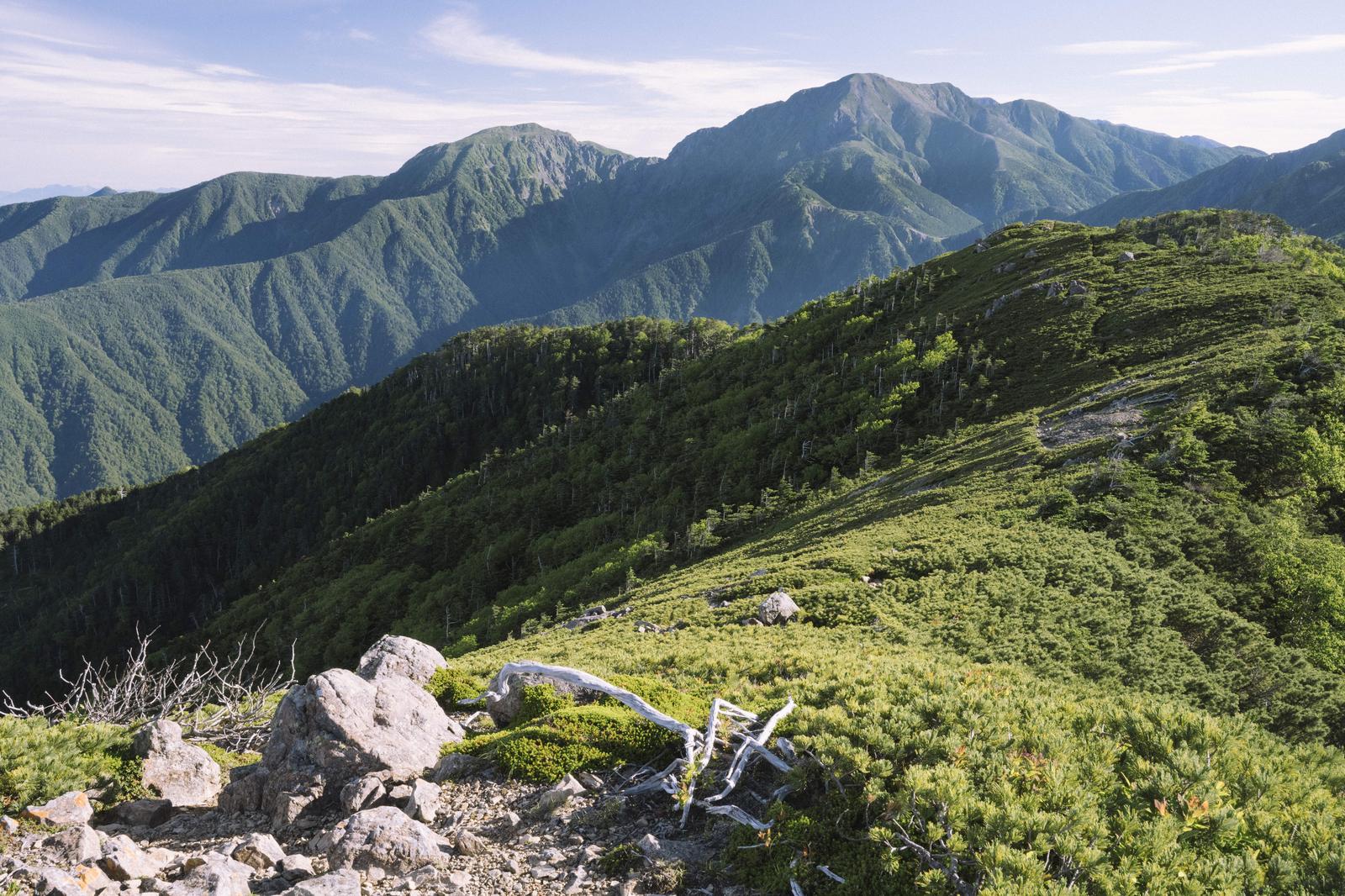 日本百名山の稜線に広がる深い緑の山々と岩場