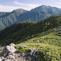 山岳地帯の稜線に広がる深い緑と岩肌―光岳周辺の山々の写真