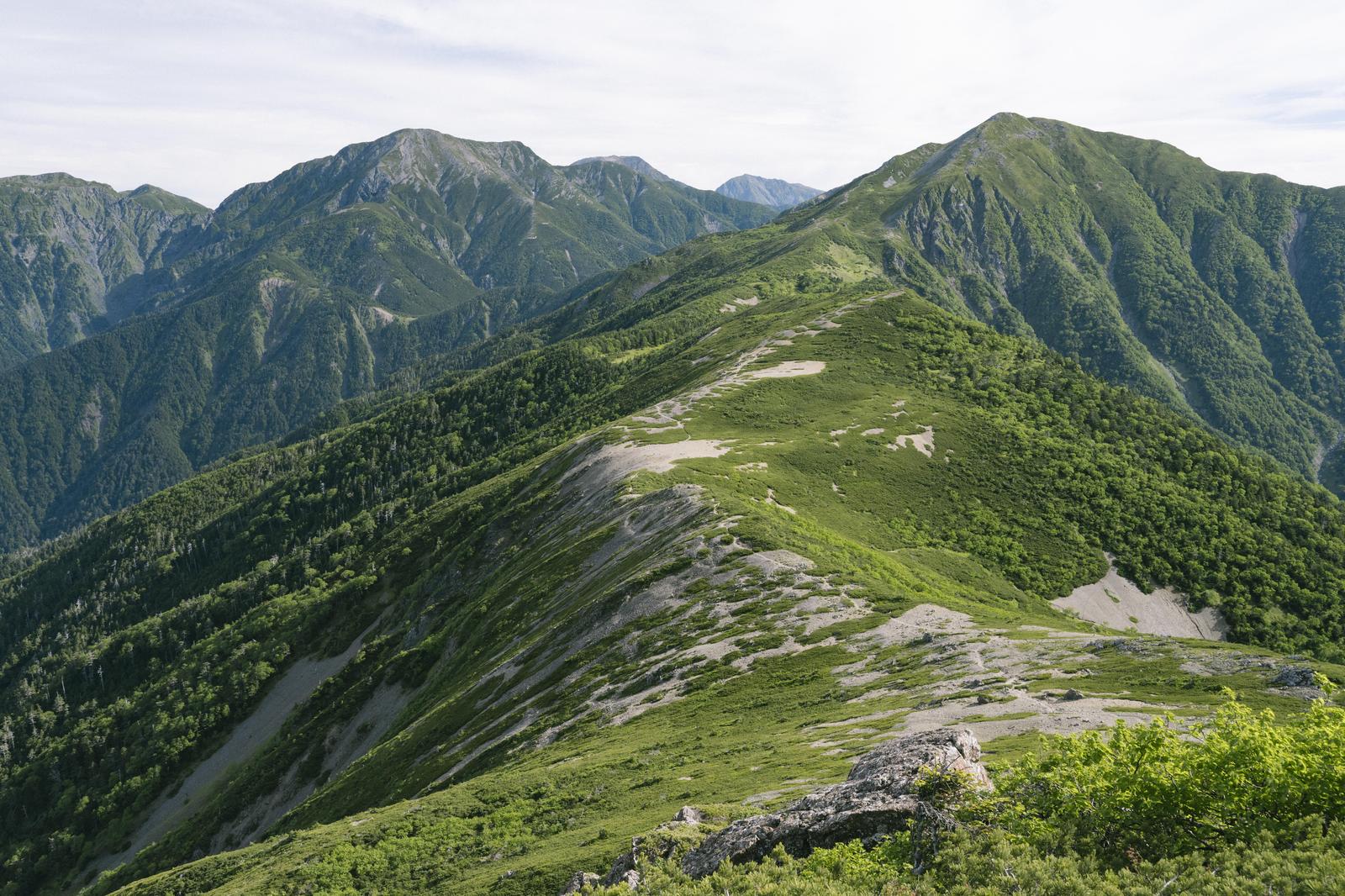 緑の稜線が連続する南アルプスの山々を上から見た風景写真