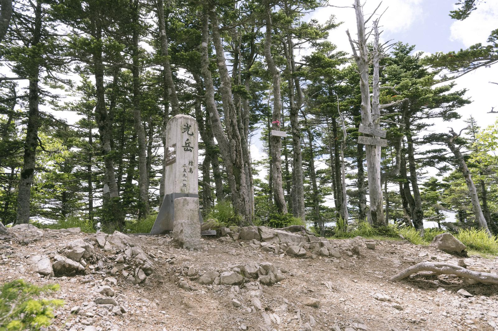 光岳山頂に立つ石造標柱と周囲の針葉樹林