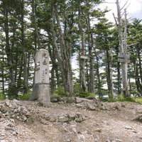 光岳山頂の石造標柱と針葉樹林の写真