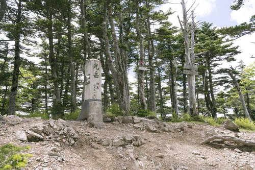 光岳山頂の石造標柱と針葉樹林