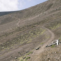 荒涼とした山肌を切り裂く十勝岳登山道の砂利道の写真