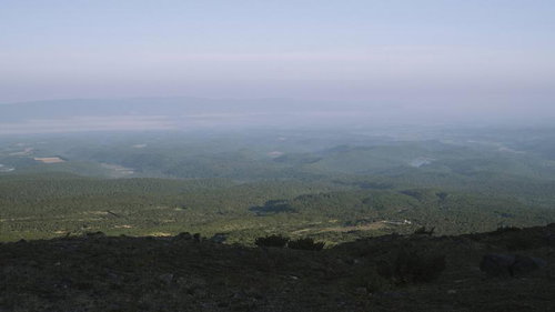 望岳台から見下ろす十勝岳の森林が広がる上富良野の原野