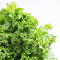 福岡県大刀洗産の新鮮なリーフレタスの野菜の写真