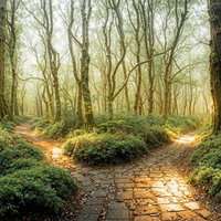 苔むした巨木が並ぶ森林の石畳の小道と複数の分岐路の写真