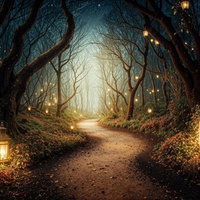 ランタンが並ぶ夜の森の小道（ファンタジー）の写真