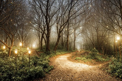 静謐な森に灯る、希望のランプ達