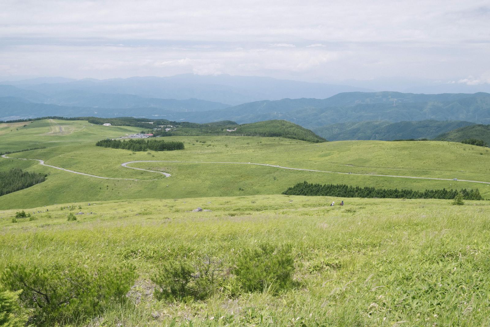 蛇行するビーナスラインが続く霧ヶ峰の緑の高原風景