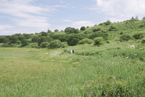 霧ヶ峰の八島湿原を散策する老夫婦、初夏の新緑に囲まれた丘陵地