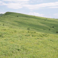 天上の草原が広がる霧ヶ峰の丘陵地、初夏の高原風景の写真
