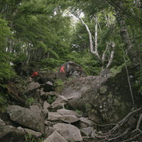 厳しいのぼりが続く男体山登山道の岩場と新緑の写真