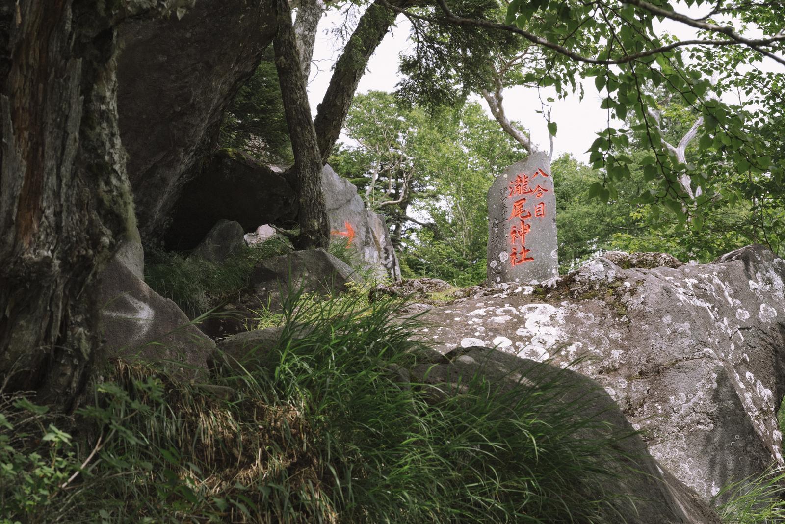 日本百名山の男体山八合目、古木の根元に立つ赤い文字の瀧尾神社石碑