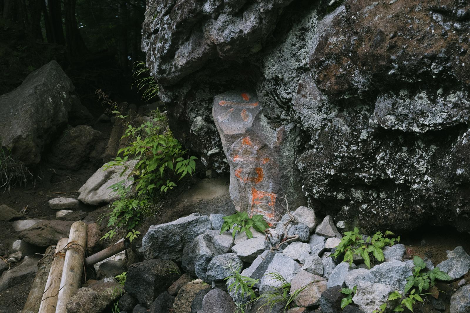 苔むした岩壁に囲まれた男体山登山道の六合目付近
