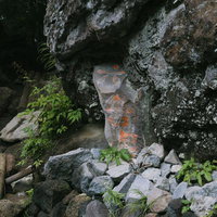 日本百名山・男体山登山道の六合目周辺、苔むした岩肌の写真